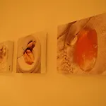 Schuette-muehle Appartement *