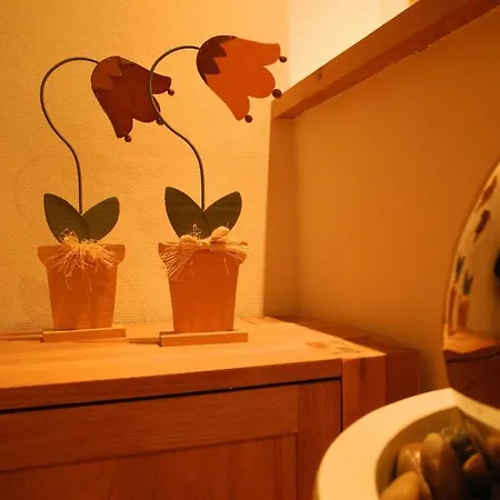 Schuette-muehle Appartement Schmallenberg