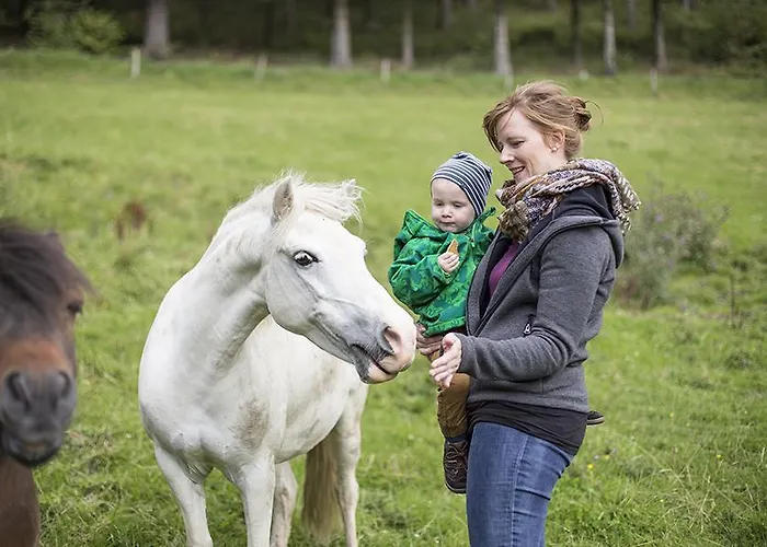Schuette-muehle Apartment